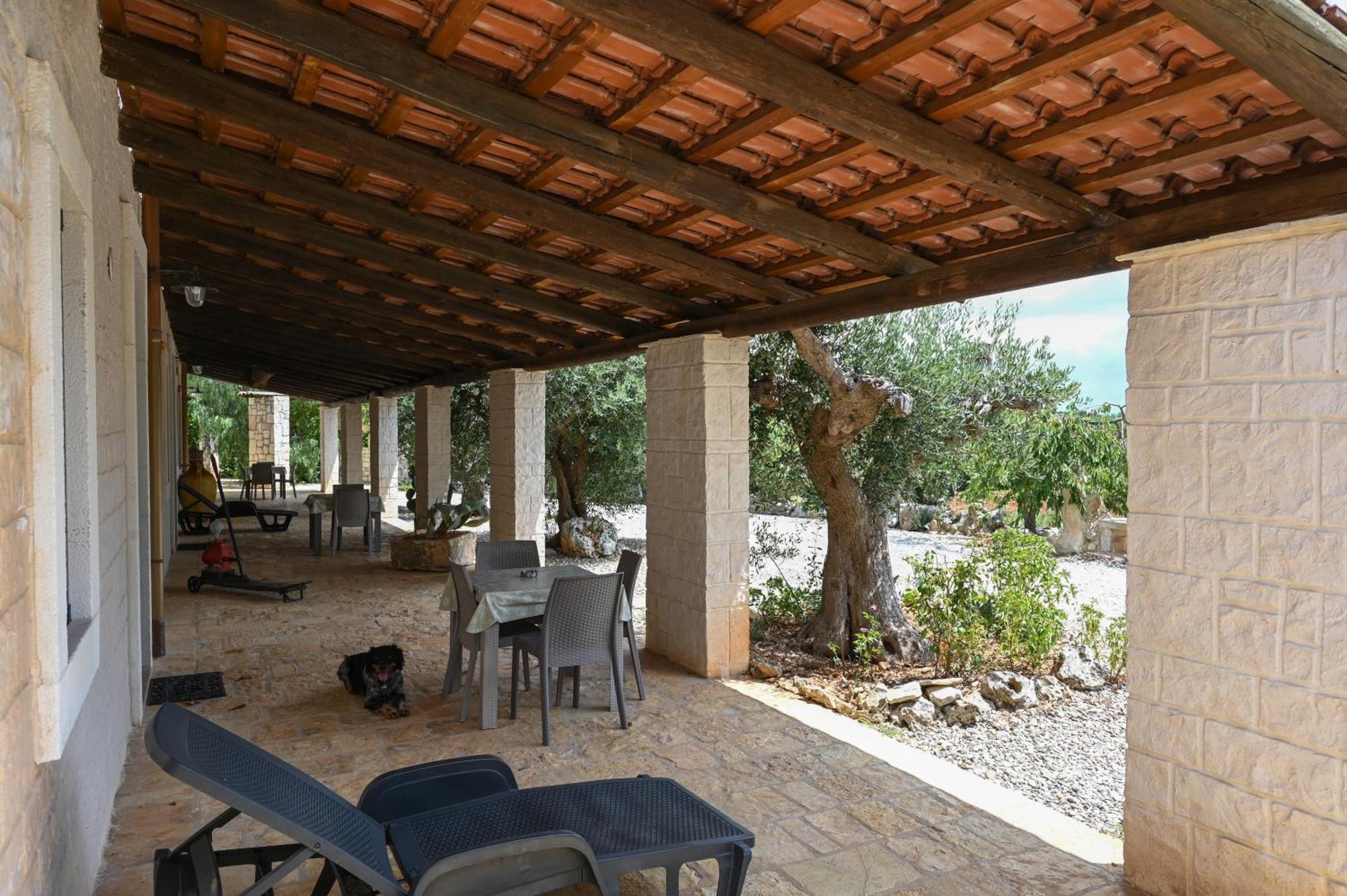 Masseria Pentima Vetrana Resort Αλμπερομπέλο Εξωτερικό φωτογραφία