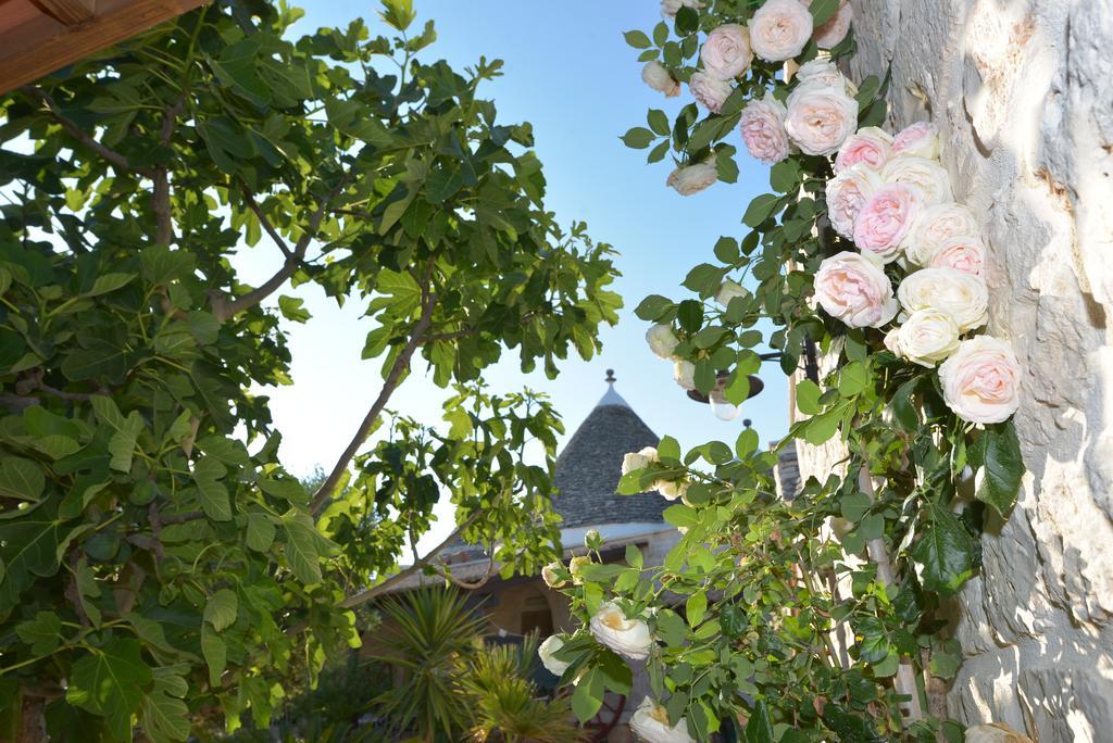 Masseria Pentima Vetrana Resort Αλμπερομπέλο Εξωτερικό φωτογραφία