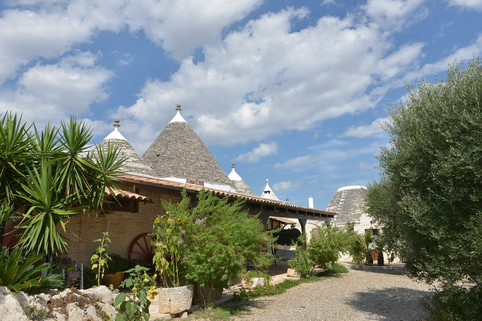 Masseria Pentima Vetrana Resort Αλμπερομπέλο Εξωτερικό φωτογραφία