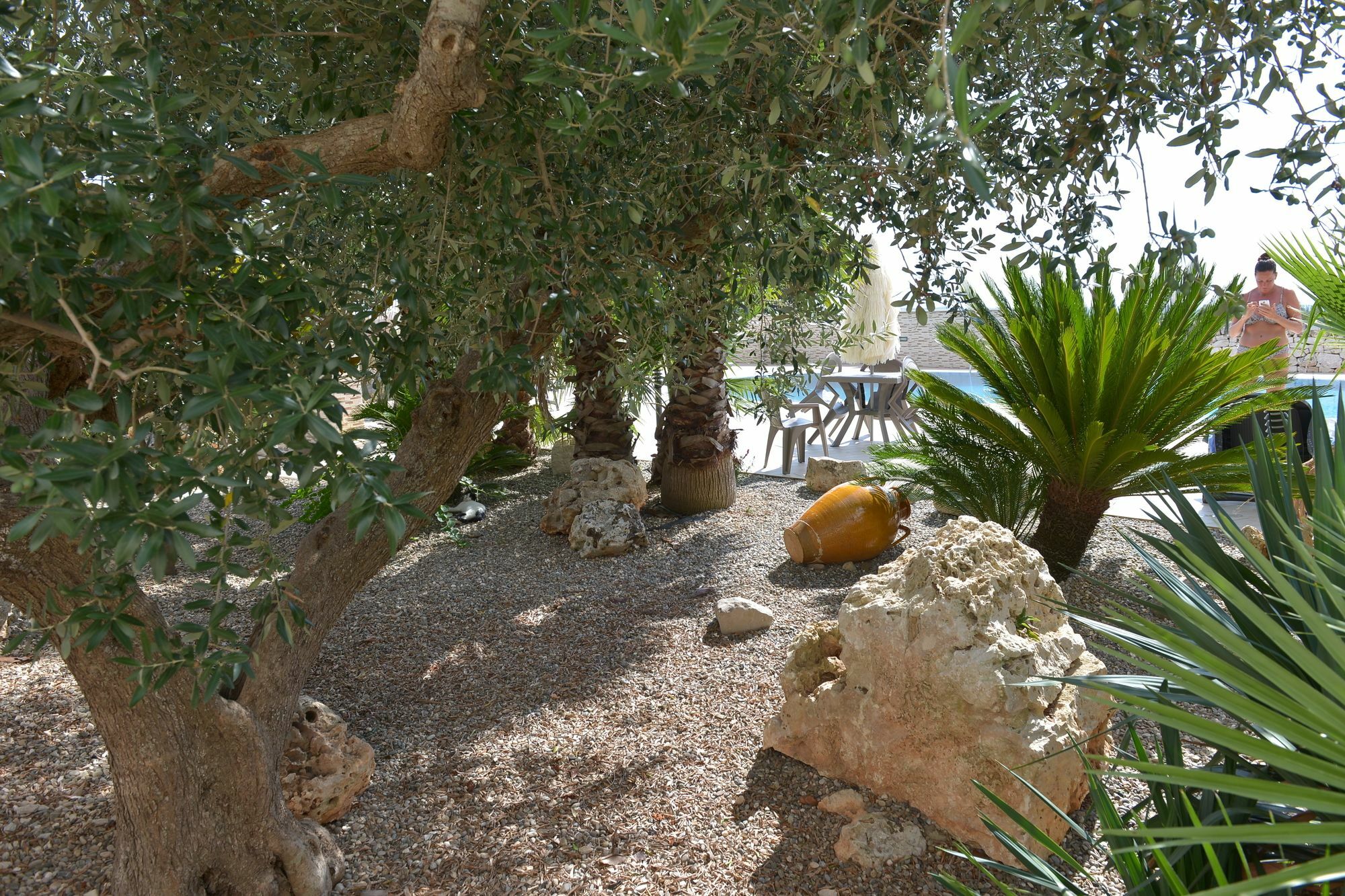 Masseria Pentima Vetrana Resort Αλμπερομπέλο Εξωτερικό φωτογραφία