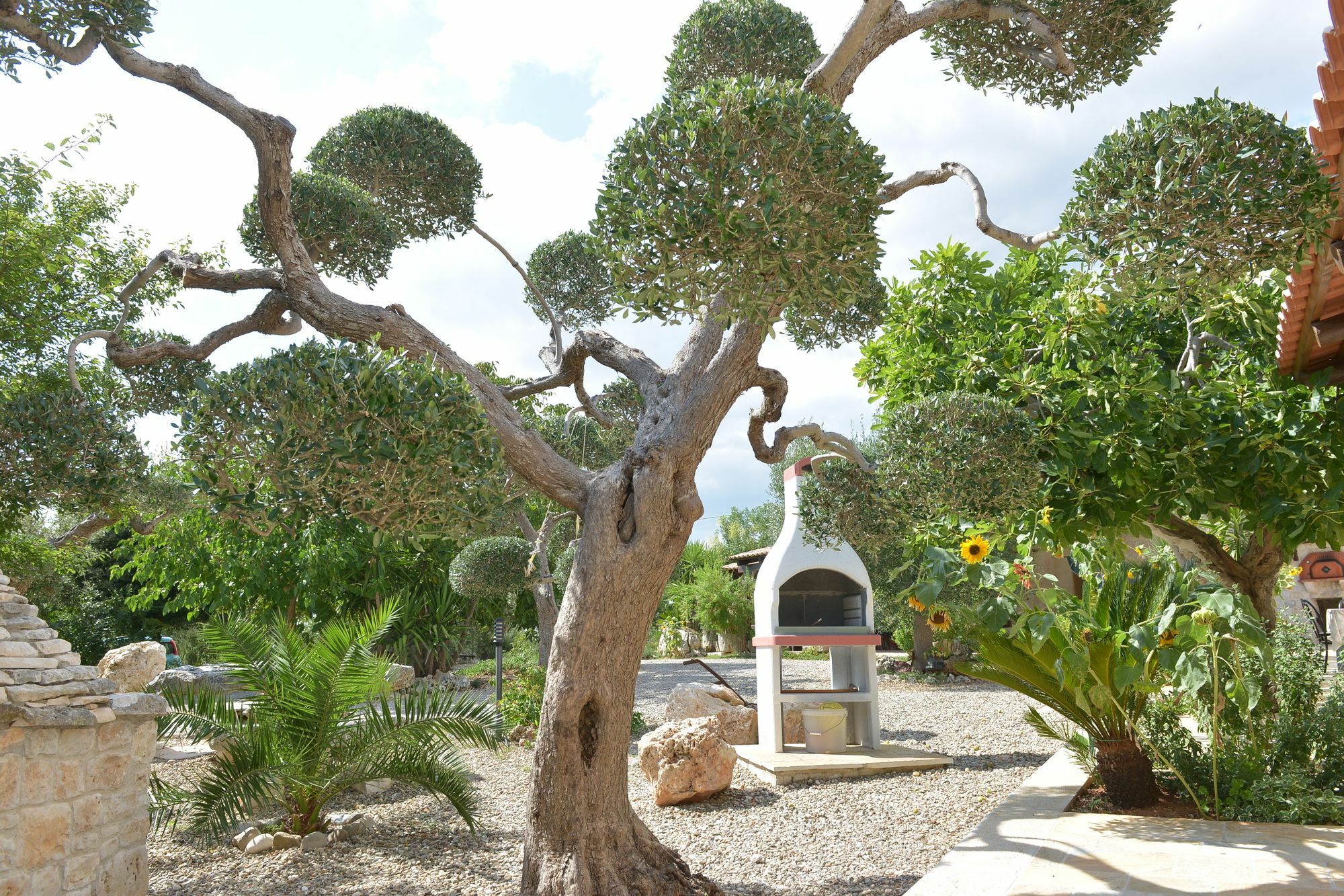 Masseria Pentima Vetrana Resort Αλμπερομπέλο Εξωτερικό φωτογραφία